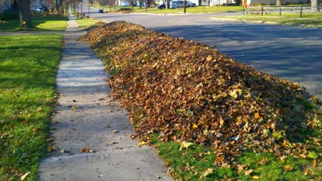 Leaves piled in path along sidewalk